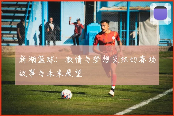 新湖篮球：激情与梦想交织的赛场故事与未来展望