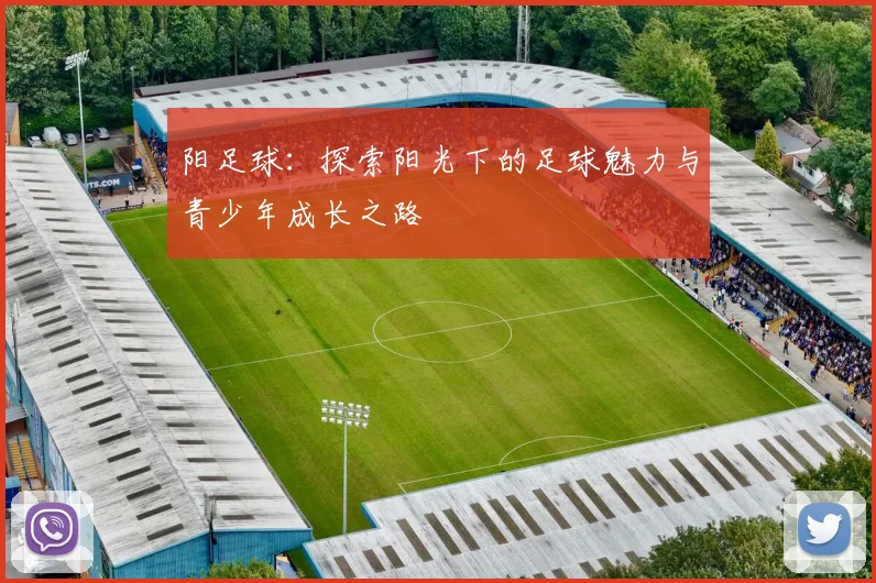 阳足球：探索阳光下的足球魅力与青少年成长之路